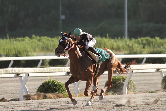 2010年9月25日（土） 高知競馬 2R 福山・高知連携 騎手交流第十六戦 C3-6_a0077663_16592010.jpg