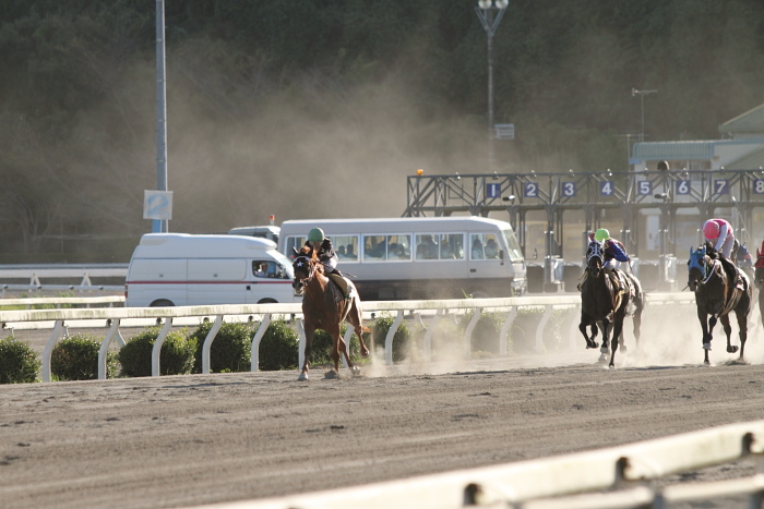 2010年9月25日（土） 高知競馬 2R 福山・高知連携 騎手交流第十六戦 C3-6_a0077663_165983.jpg