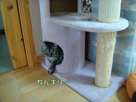 a0039366_0301561.jpg