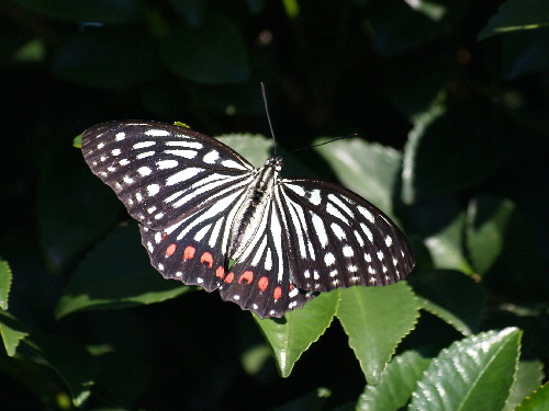 f0208666_13143661.jpg