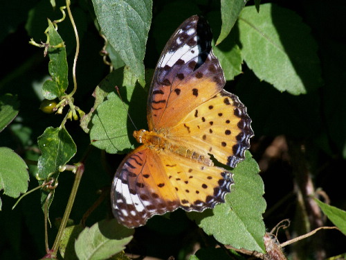 f0208666_13404398.jpg
