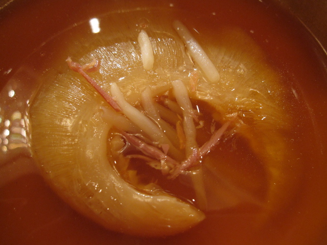 c0177968_10042.jpg
