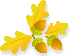 b0136683_19102438.gif
