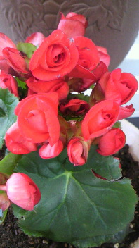 b0134285_22342435.jpg