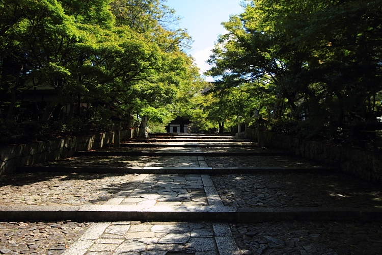 真如堂(真正極楽寺)_e0051888_4311846.jpg