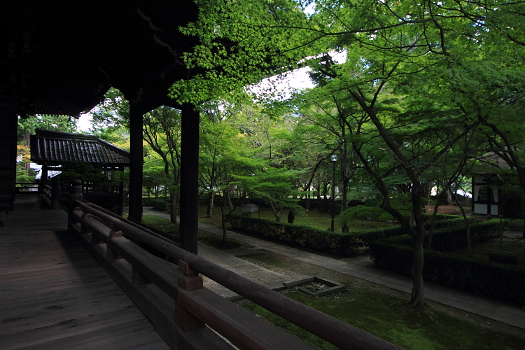 真如堂(真正極楽寺)_e0051888_4322977.jpg