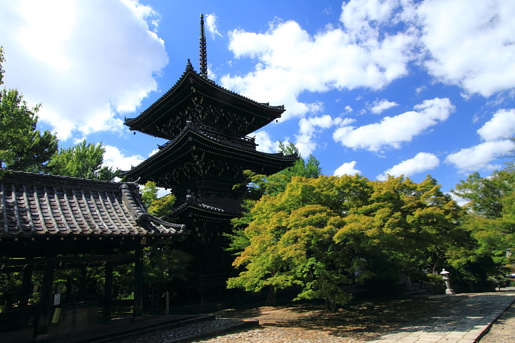 真如堂(真正極楽寺)_e0051888_4345616.jpg