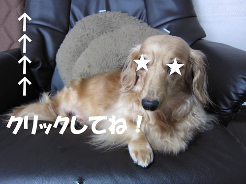 ニュージーランド_b0200291_0295799.jpg
