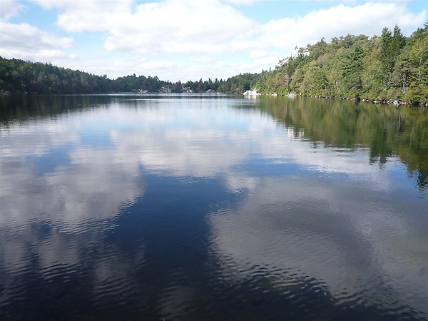 d0182292_12214388.jpg