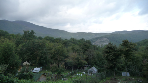 秋の空気とユキちゃんの贈り物_f0106597_1631832.jpg
