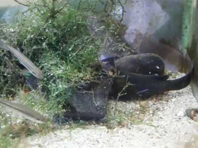 f0082402_23185110.jpg