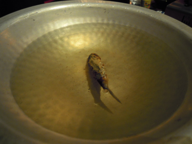 e0028505_035616.jpg