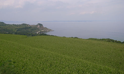 b0117406_20512086.jpg