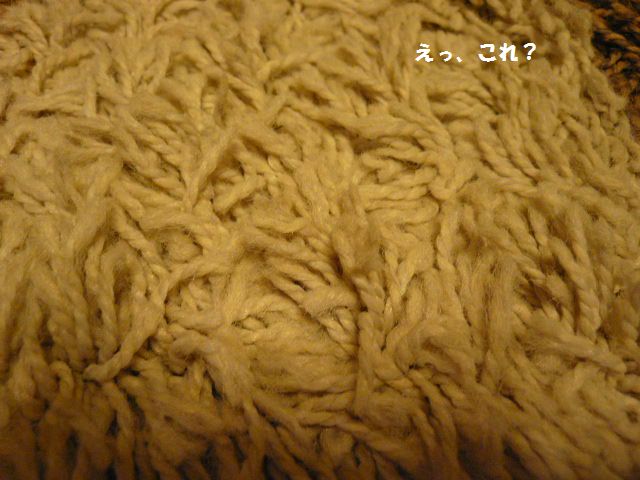 e0094407_22552594.jpg