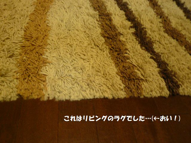 e0094407_22584230.jpg