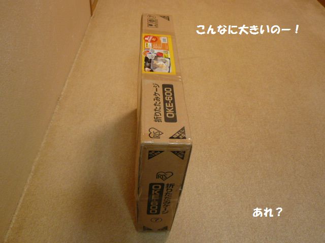 e0094407_23294666.jpg