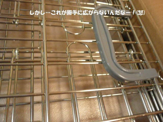 e0094407_2336755.jpg