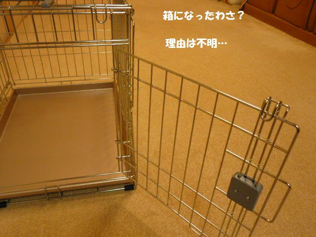 e0094407_2339364.jpg
