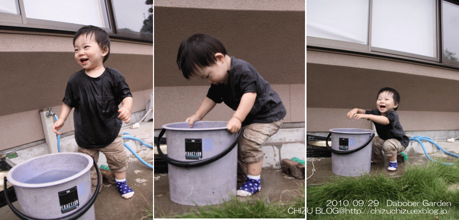 c0017311_21394547.gif