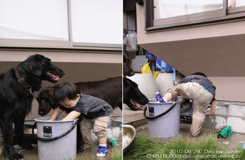 c0017311_21433056.gif