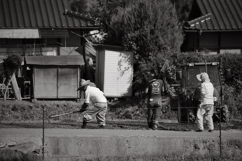 嵯峨野の曼珠沙華　其の一_f0032011_2035191.jpg