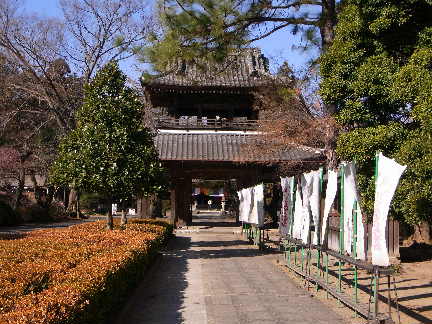 増田館_c0051112_1315869.jpg
