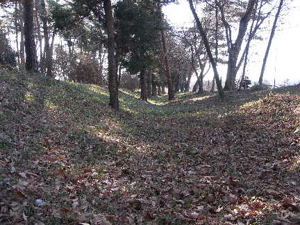増田館_c0051112_13162926.jpg