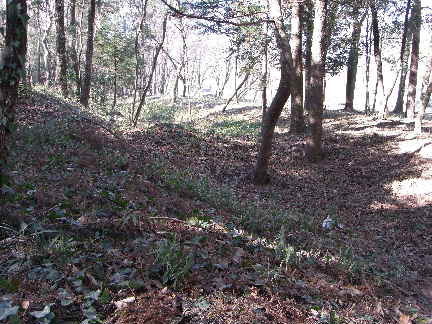 増田館_c0051112_1317669.jpg