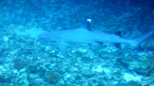f0110213_18352235.jpg