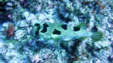 f0110213_18353083.jpg