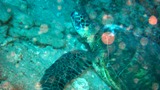 f0110213_18381696.jpg