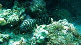 f0110213_1838181.jpg