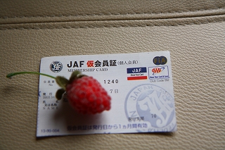 b0163114_14542478.jpg