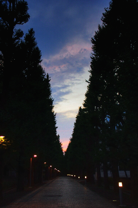 a0066720_22585371.jpg