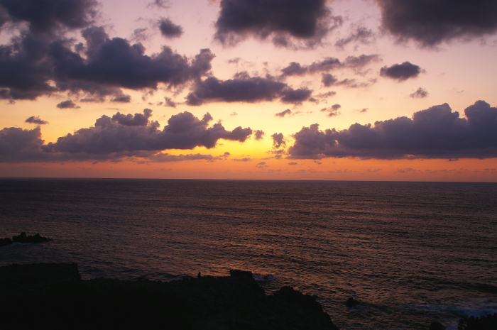a0066720_23314966.jpg