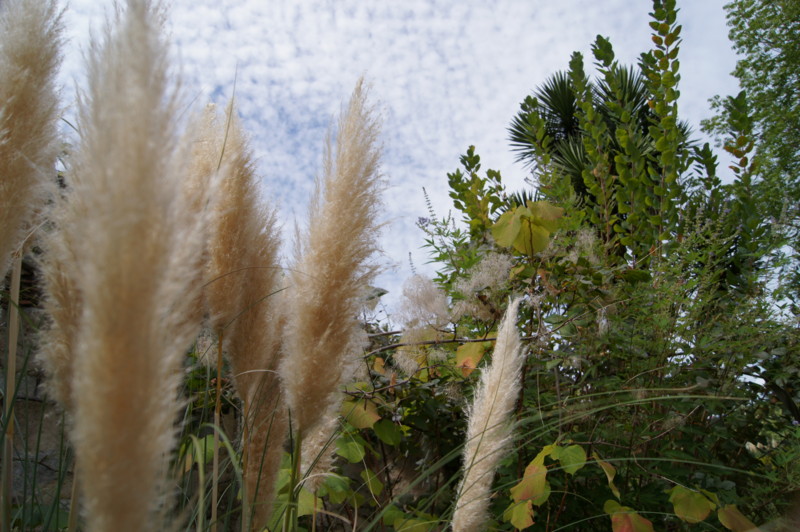 f0063624_11222.jpg