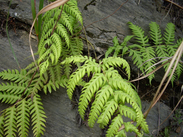 d0150727_041962.jpg