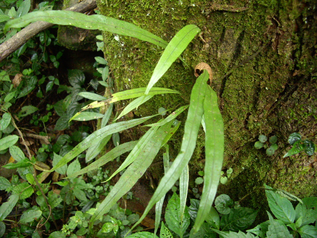 d0150727_0434422.jpg
