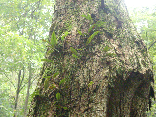 d0150727_0584198.jpg
