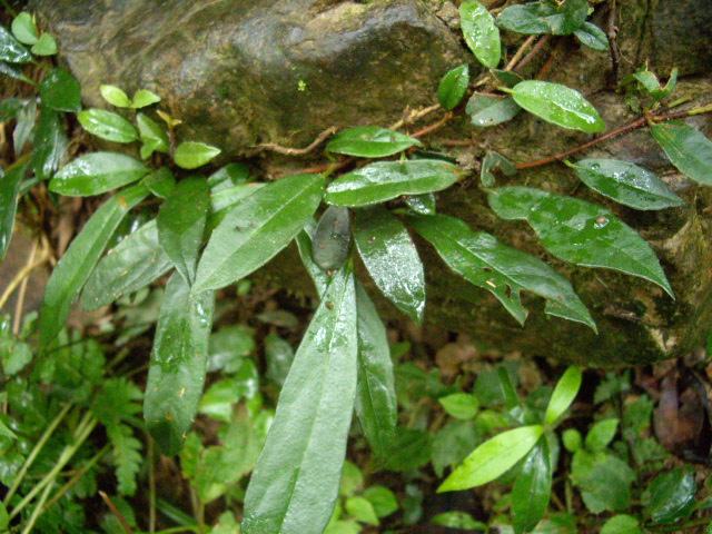 d0150727_1171194.jpg