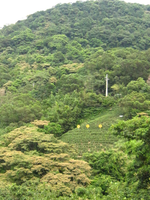 c0214628_20151271.jpg