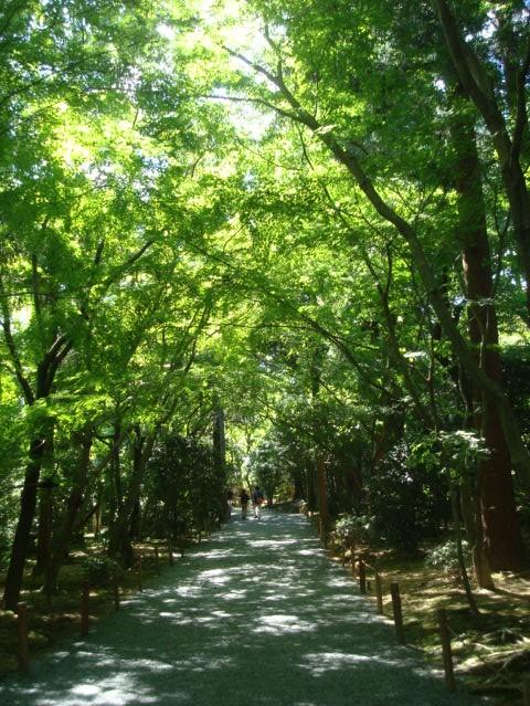 初秋の京都旅行（神社仏閣巡り）_f0141130_1424277.jpg