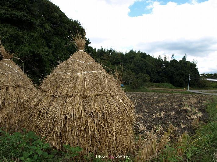 里山の秋　_f0231441_1350352.jpg