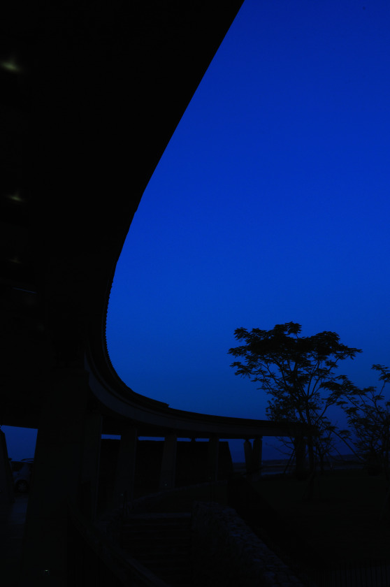 d0161554_1521681.jpg