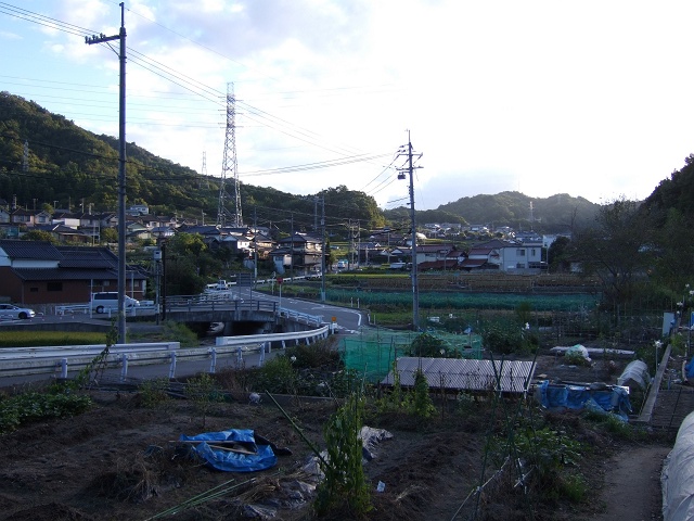 畑賀町為角地区と随木屋橋付近の秋の光景を歩く_b0095061_8372769.jpg