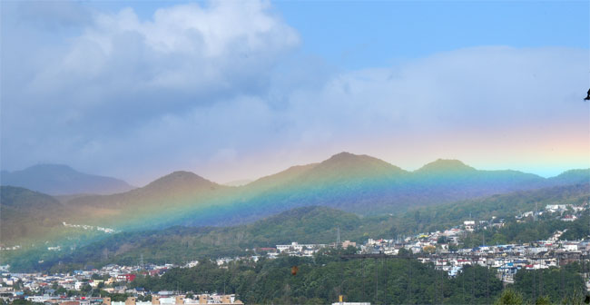f0212586_18325666.jpg
