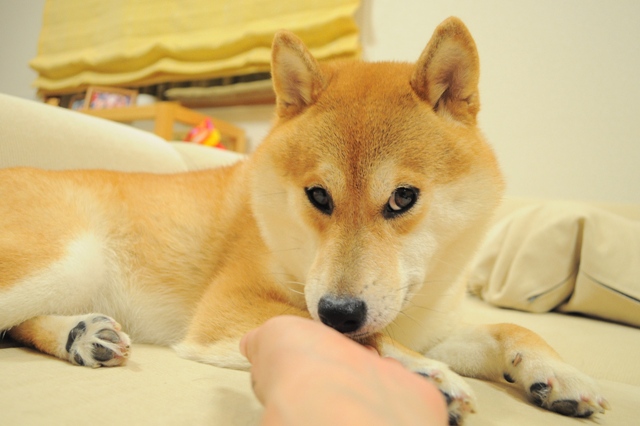 ただいまの時間_a0126590_21512297.jpg