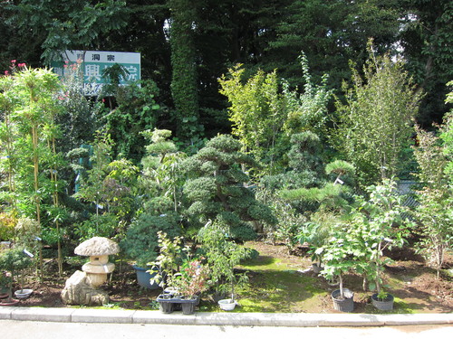 あゆみ野農協安行園芸センター_b0200291_1634525.jpg
