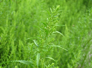 b0186899_21355293.jpg