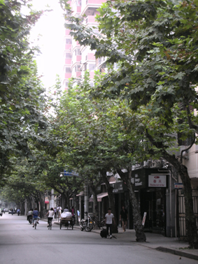 e0183600_16325791.jpg